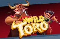 Wild toro slots