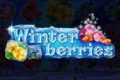 Winterberries Slots logo