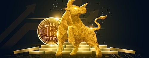 Is Cryptocurrency Reshaping the Future of Online Gambling?