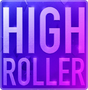 What is a High Roller Casino?